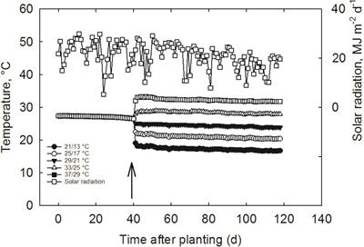 Morpho-Physiological, Yield, and Transgenerational Seed Germination Responses of Soybean to Temperature